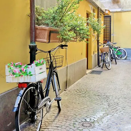 Navona Delightful *